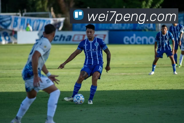 开云手机登录官网入口平台生态图