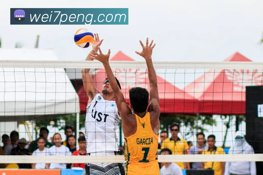 开云手机登录官网入口全站App 开云手机登录官网入口全站App