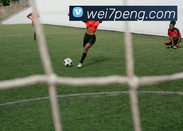 辅助工具 辅助工具